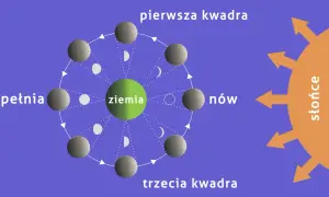 Odrobaczanie w jakiej fazie księżyca: odkryj skuteczne metody działania