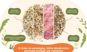 Czym odrobaczać gołębie, aby skutecznie pozbyć się pasożytów?