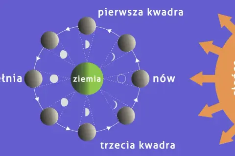 Odrobaczanie w jakiej fazie księżyca: odkryj skuteczne metody działania