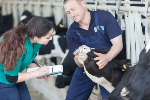 Ile zarabia pomocnik weterynarza? Zaskakujące fakty o wynagrodzeniu