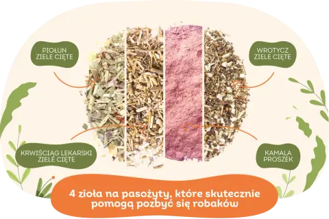 Czym odrobaczać gołębie, aby skutecznie pozbyć się pasożytów?
