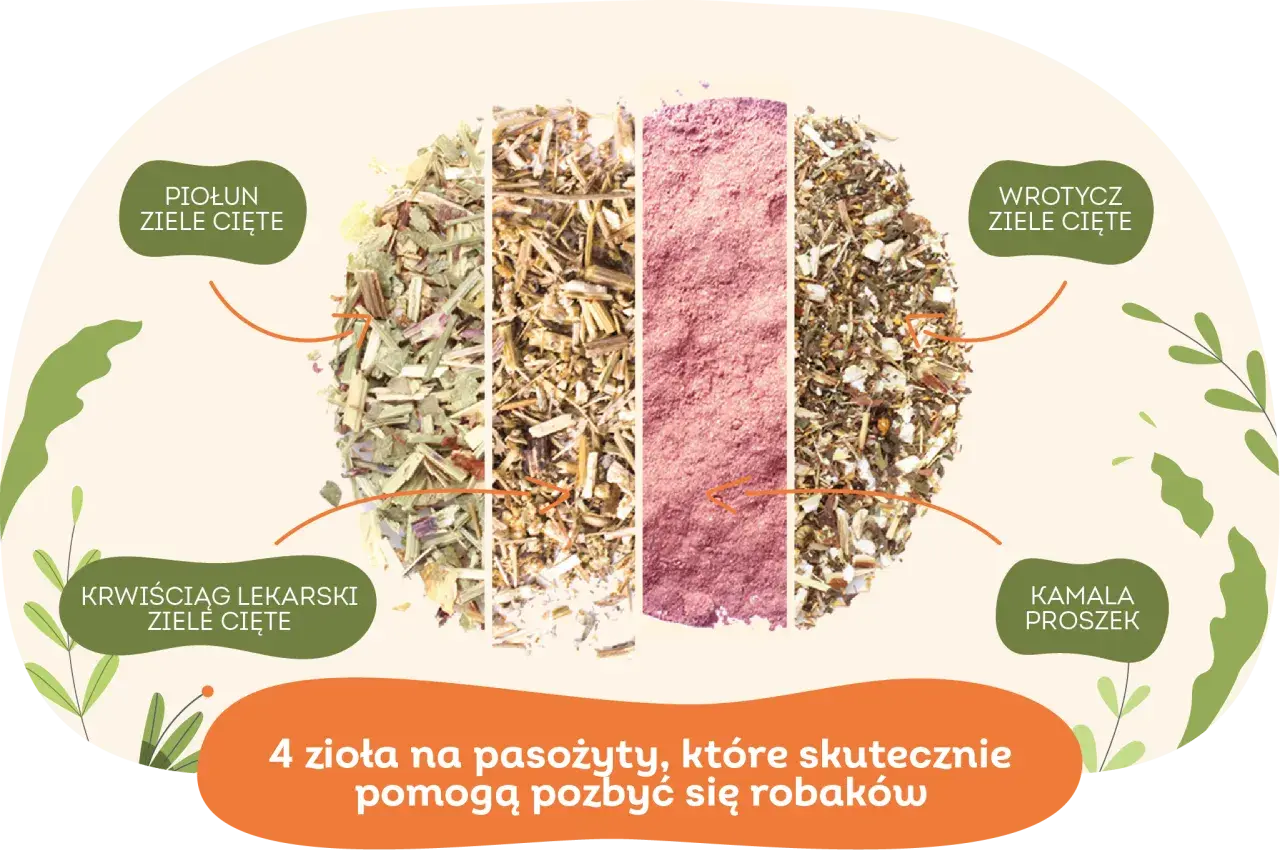Czym odrobaczać gołębie, aby skutecznie pozbyć się pasożytów?
