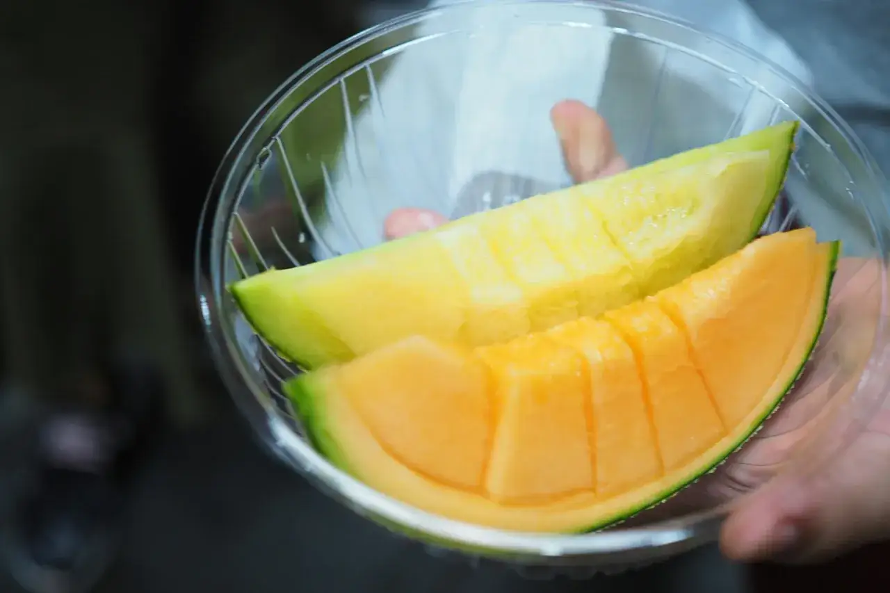 Zdjęcie Czy pies może jeść melona? Bezpieczne sposoby na podawanie melona