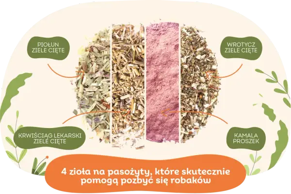 Czym odrobaczać gołębie, aby skutecznie pozbyć się pasożytów?